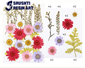 FL059 23 In 1 Pressed Flowers
