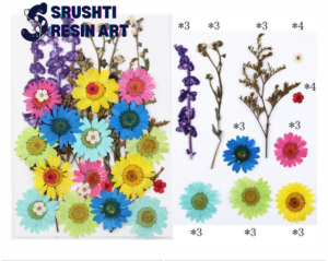Pressed dry flower set for resin art