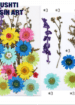 Pressed dry flower set for resin art