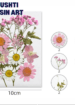 12 in 1 Flower Set in a charming pink and white color palette