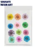 Dry Pressed Aster Flowers for Resin Art - 12 Pcs (Mix Colours)