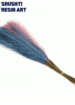 pampas-grass-ping-blue-mix