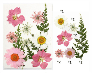 Pink Colour Pressed Flowers Fl001