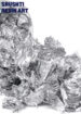 silver-gilding-flakes-big
