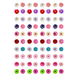 IS131 Daisy Flower Designs Insert Sheet (Transparent Sheet) IS131