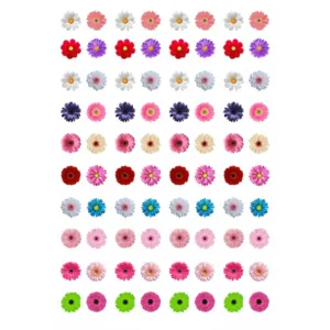 IS131 Daisy Flower Designs Insert Sheet (Transparent Sheet) IS131