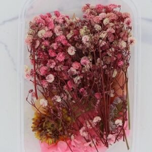 Light Pink Dry Flower Box